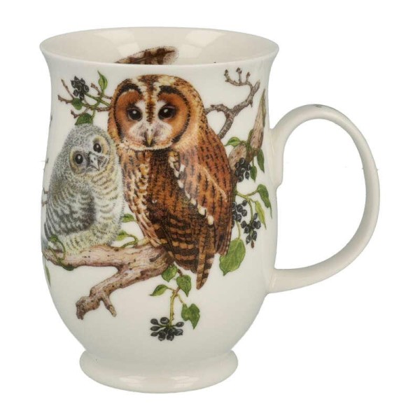 Becher Suffolk, Owls, Tawny Owl