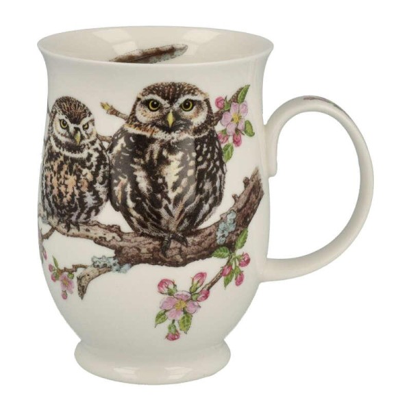 Becher Suffolk, Owls, Little Owl